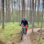 Lillebjorn 트리실