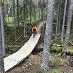 Lillebjorn * 트리실