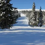 펜션 Lillebjorn 트리실