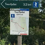 Lillebjorn *
