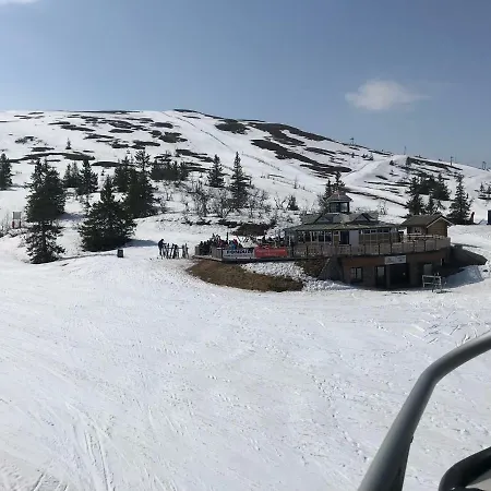 Lillebjorn Holiday home Trysil
