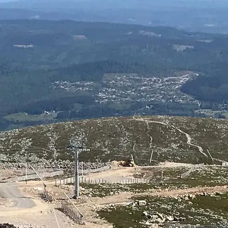Lillebjorn