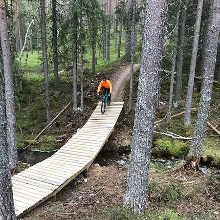 Lillebjorn * Trysil