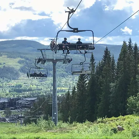 Prázdninový dům Lillebjorn *