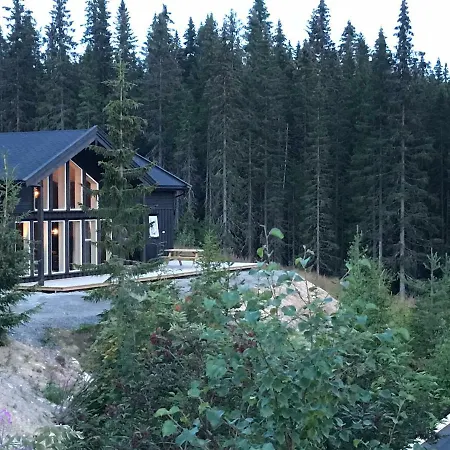 Lillebjorn * Trysil