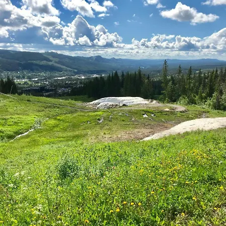 Lillebjorn * Trysil