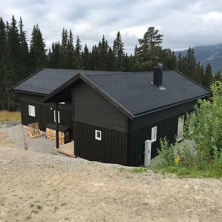 Prázdninový dům Lillebjorn *