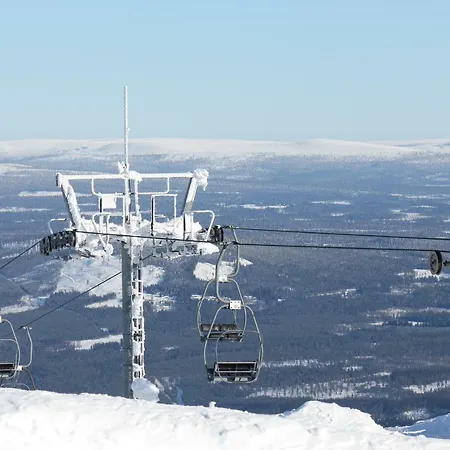 Lillebjorn * Trysil
