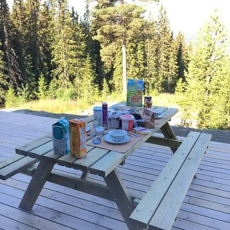 Lillebjorn