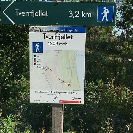 Lillebjorn *