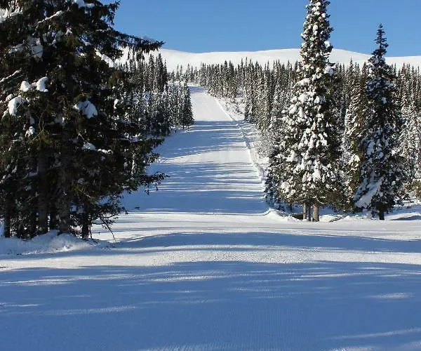 Prázdninový dům Lillebjorn Trysil