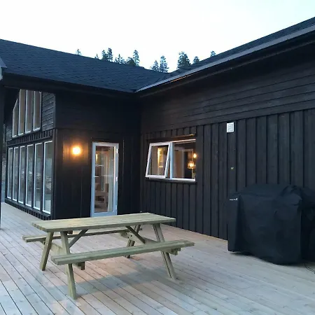 Lillebjorn